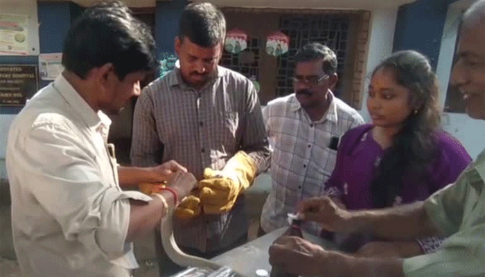 Vizag: నాగుపాముకు యాక్సిడెంట్.. గాయానికి సర్జరీ