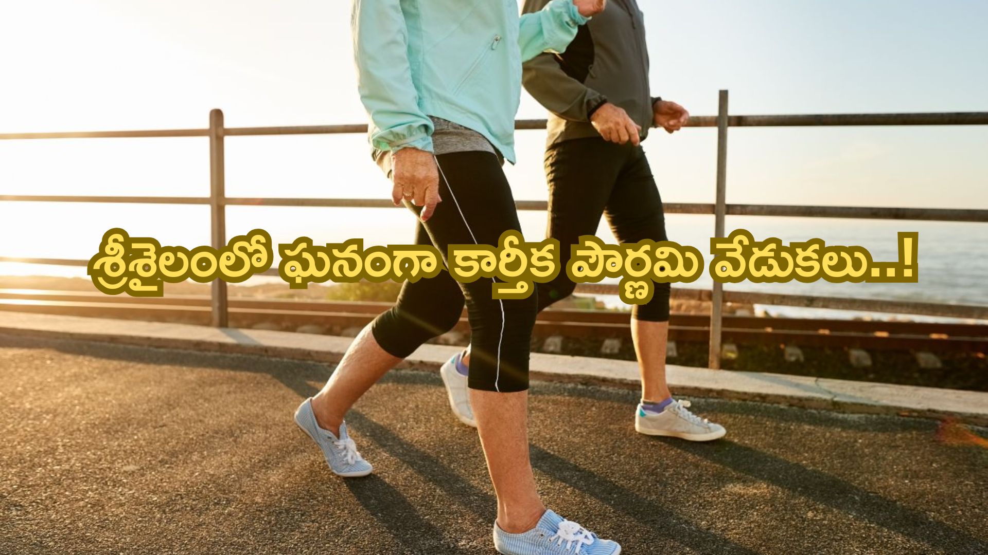 Saftey tips for Winter Walking: చలికాలంలో వాకింగ్కి వెళ్లే ముందు ఈ విషయాలు తప్పక గుర్తుంచుకోండి!