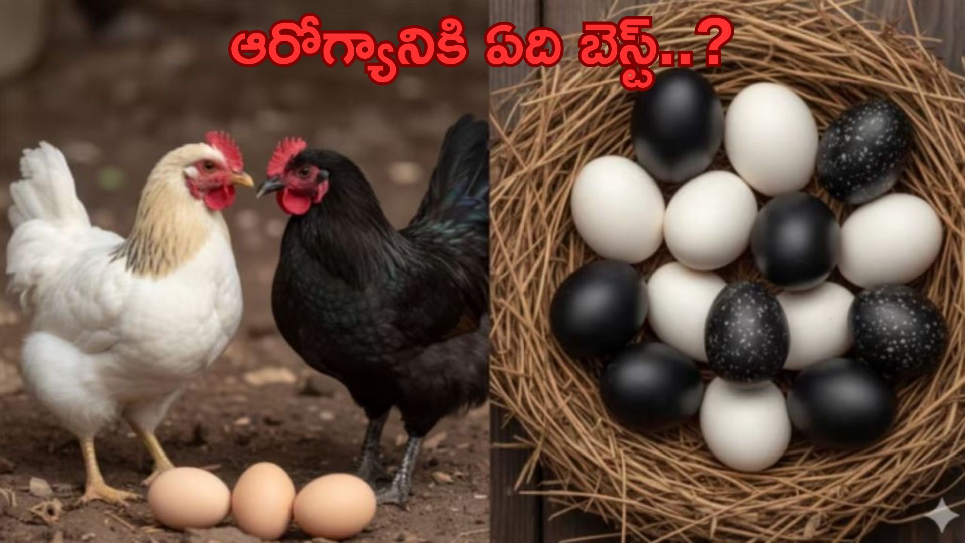 White Eggs vs Black Eggs: తెలుపు vs నలుపు.. ఆరోగ్యానికి ఏది బెస్ట్..?