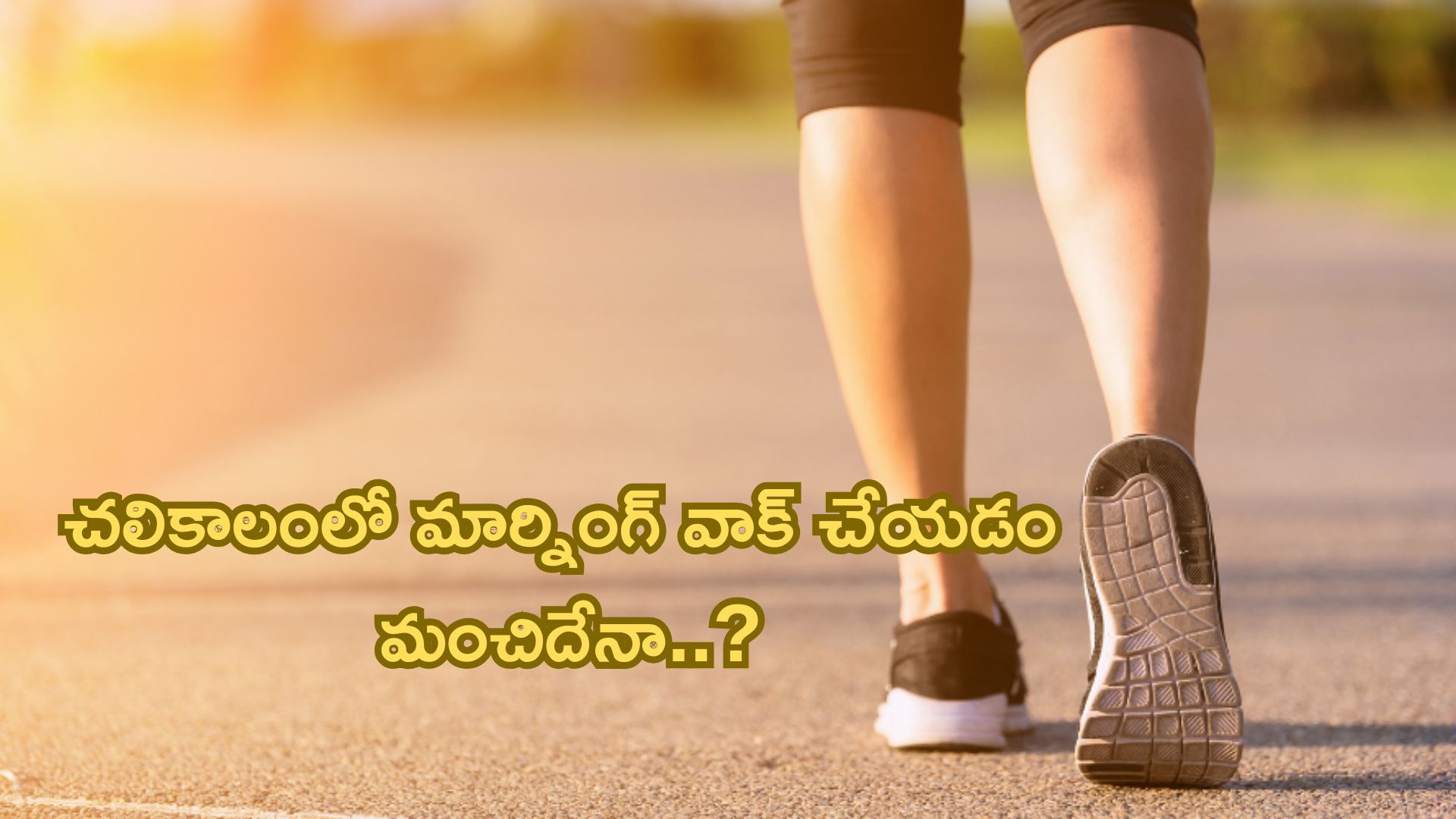 Morning Walk: చలికాలంలో మార్నింగ్ వాక్ చేయడం మంచిదేనా..?