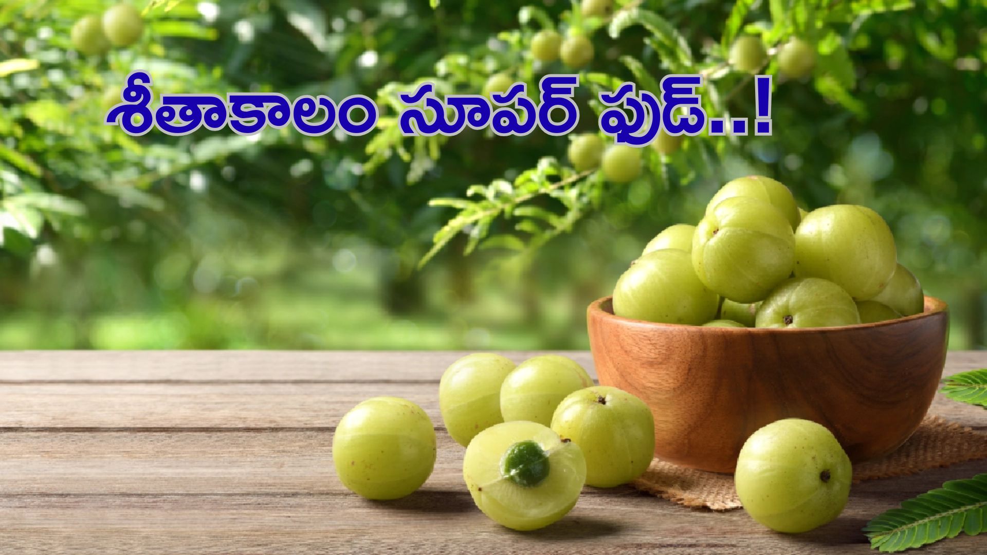 Winter Superfood: శీతాకాలం సూపర్ ఫుడ్.. ఉసిరి తింటే అద్భుతమైన ఆరోగ్య ప్రయోజనాలు!