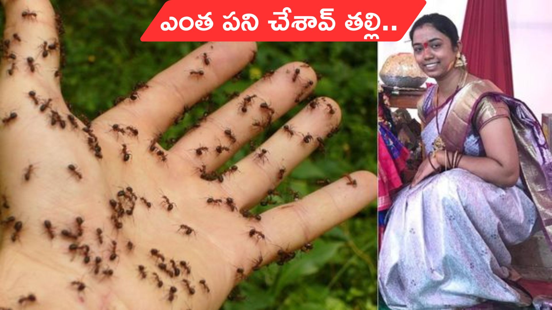 Woman Suicide: చీమలకు భయపడి వివాహిత ఆత్మహత్య.. తెలంగాణలో విషాదం