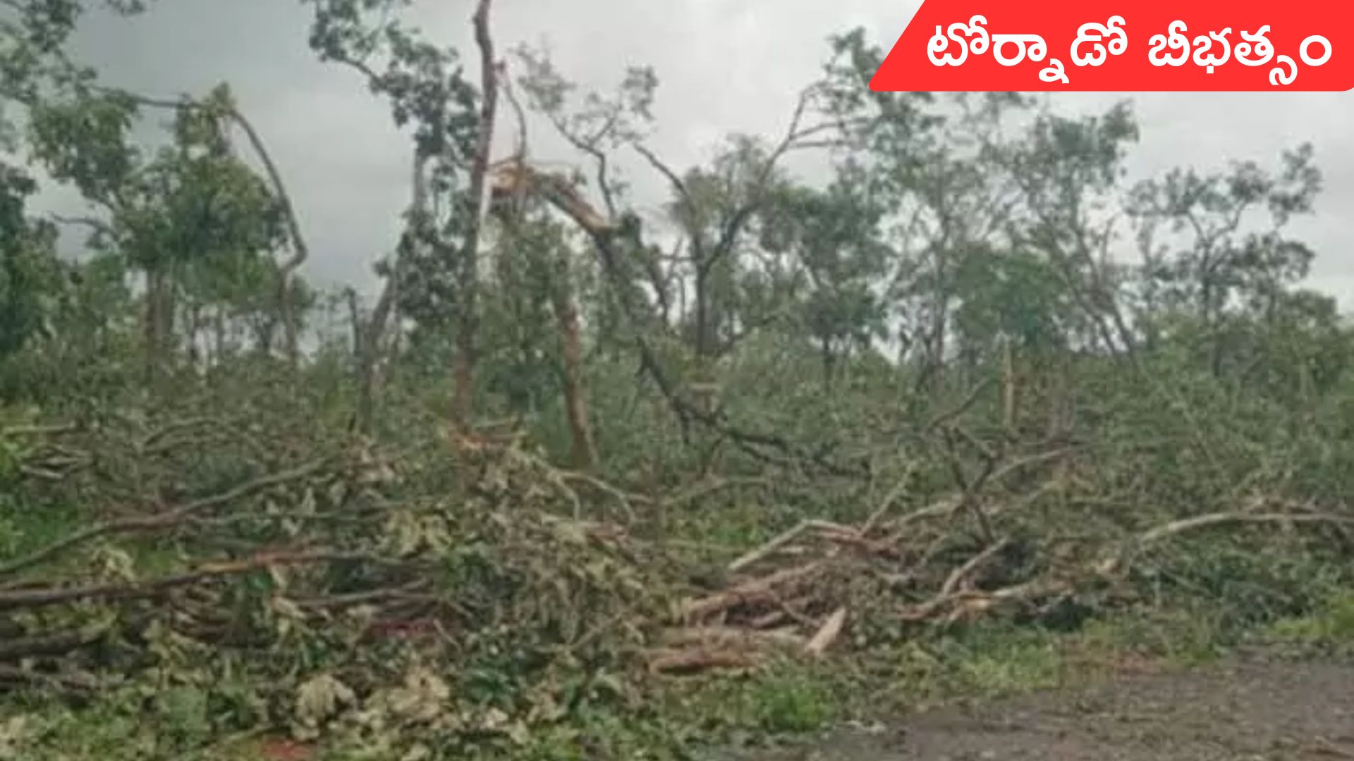 Jayashankar Bhupalpally: జయశంకర్ భూపాలపల్లి జిల్లాలో టోర్నాడో బీభత్సం