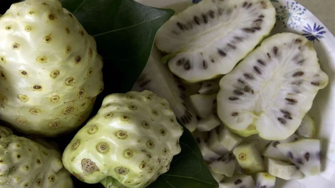 నోనిలో విటమిన్ సి, విటమిన్ ఇ వంటి యాంటీఆక్సిడెంట్లు అధికంగా ఉంటాయి
