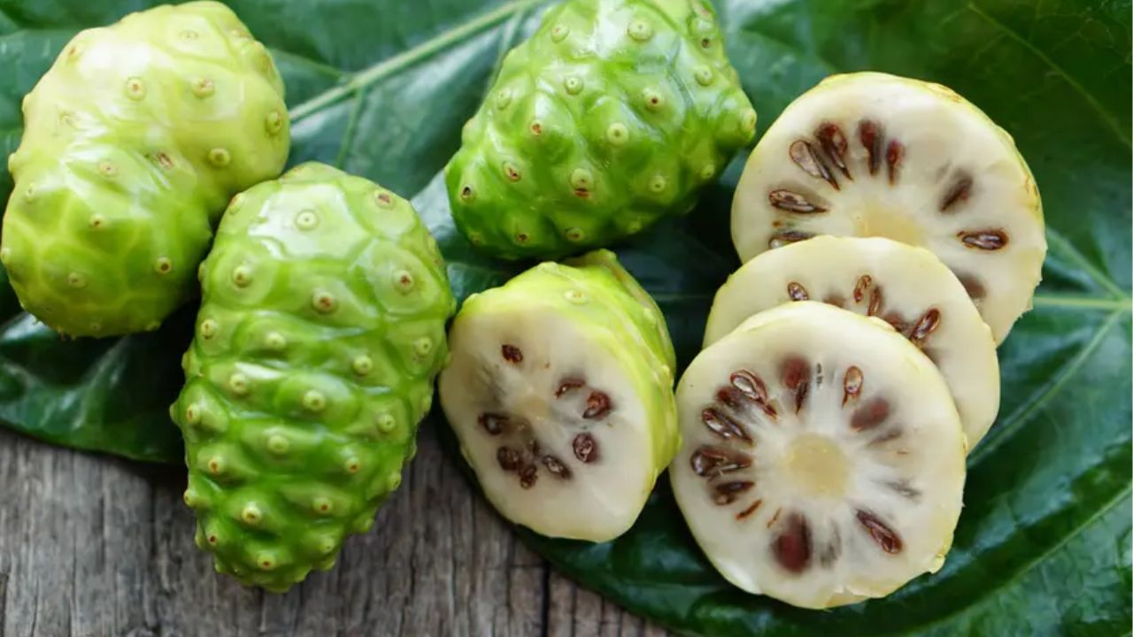  Noni Benefits: నోనితో ఇన్ని ప్రయోజనాలా !