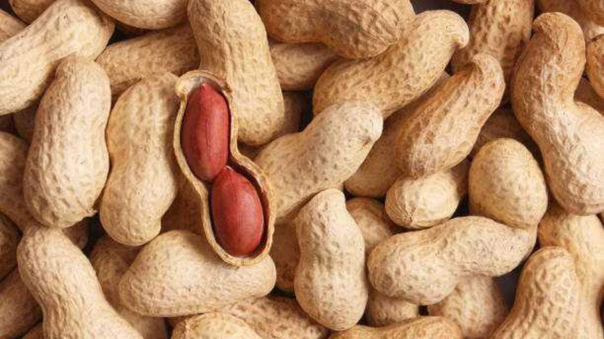 Pea Nuts: చలికాలంలో రోజు వేరుశనగలు తింటే ఎన్ని లాభాలో తెలుసా..?