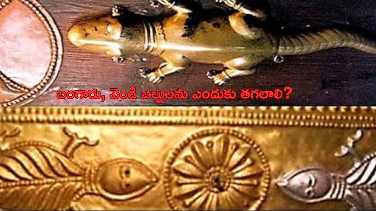 Gold and silver lizards: బంగారు, వెండి బల్లులను ఎందుకు తాకాలి?