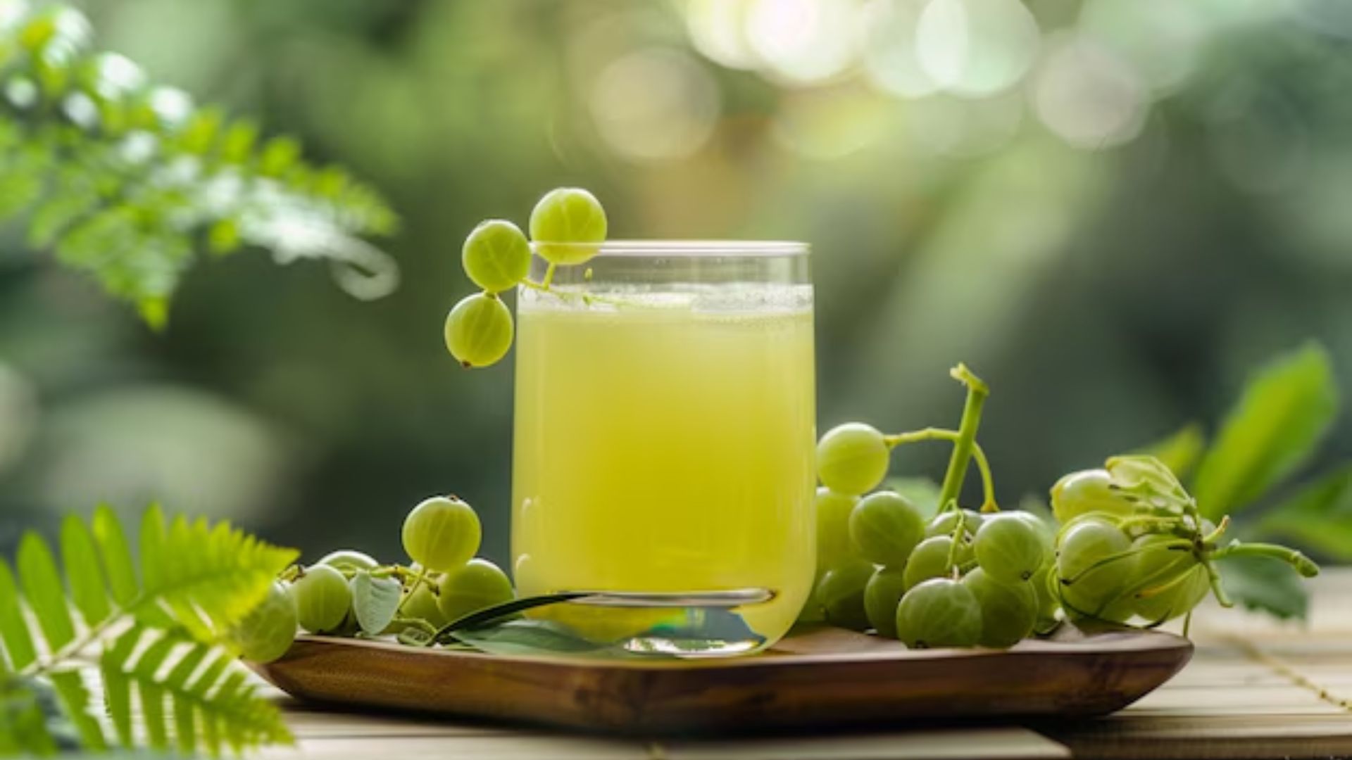Amla Juice Benefits: ఉసిరి జ్యూస్ తాగితే కలిగే లాభాలివే..!