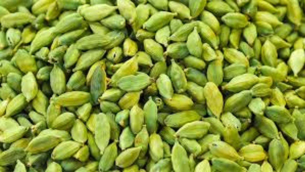 cardamom benefits: ఏలకులతో ఆరోగ్య ప్రయోజనాలు