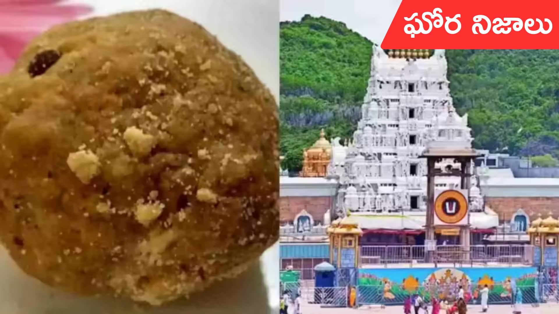 cbi sit investigation: 20 కోట్ల లడ్డూల్లో కల్తీ నెయ్యి.. సిట్ విచారణలో ఘోర నిజాలు!