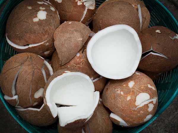Raw Coconut: పచ్చి కొబ్బరితో ఆరోగ్య ప్రయోజనాలు!