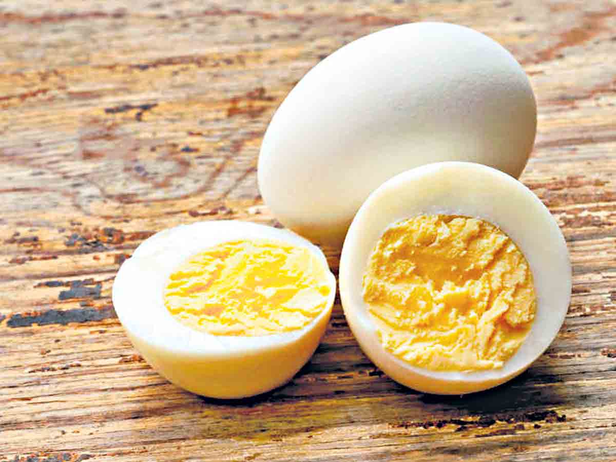 వీటితో గుడ్డును తిన్నారంటే.. లైఫ్‎ని రిస్క్‎లో పెట్టినట్టే..