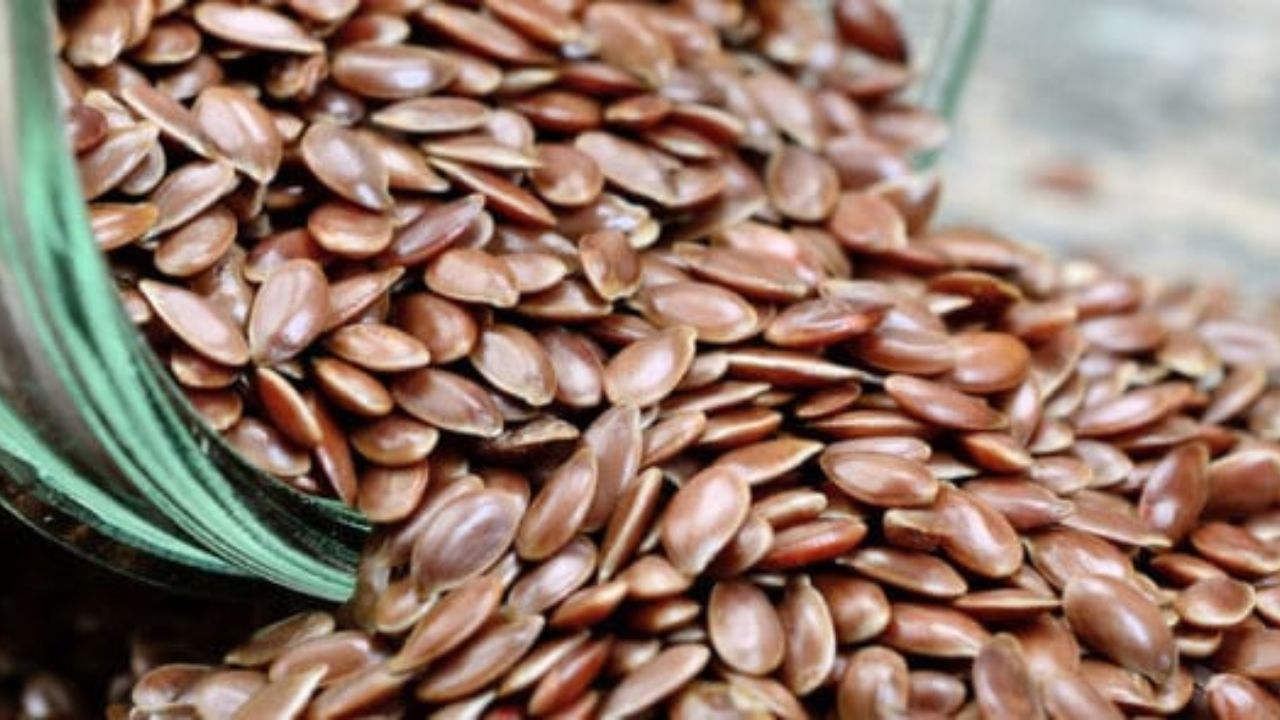 flax seeds benefits: అవిసె గింజలతో అద్భుతమైన ప్రయోజనాలు