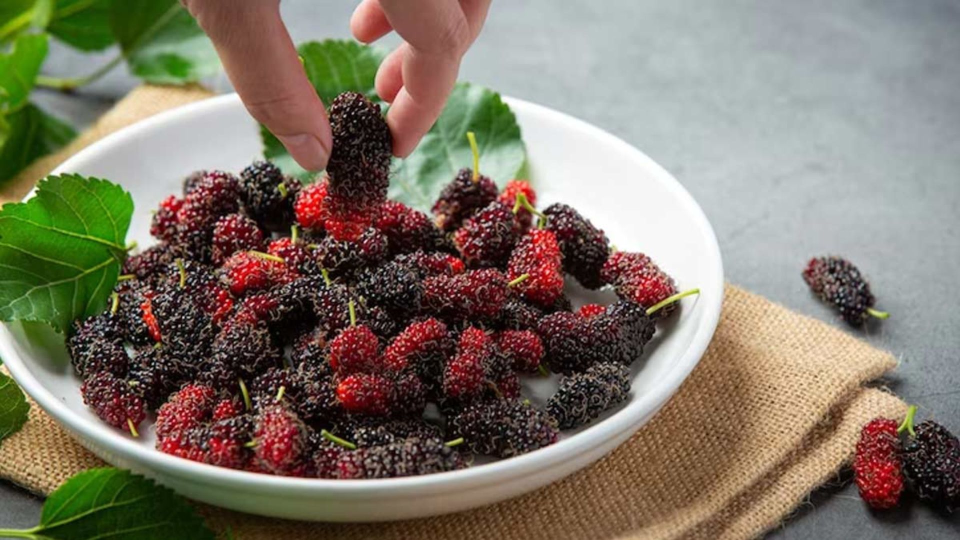 Mulberry Fruits: మల్బరీ పండ్లు.. వీటిని తినడం వల్లఎన్ని లాభాలంటే..?