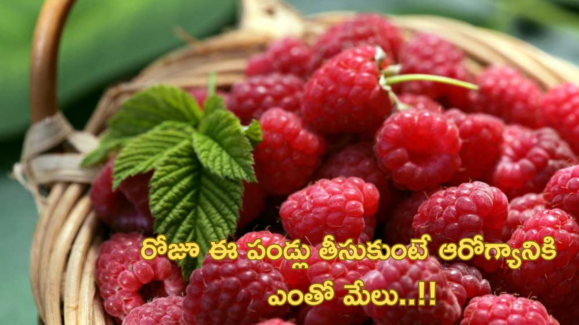Raspberries: రోజూ ఈ పండ్లు తీసుకుంటే ఆరోగ్యానికి ఎంతో మేలు..!!