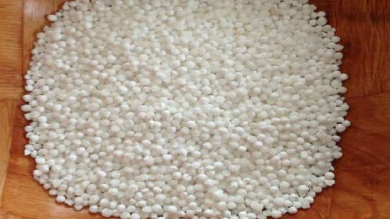 Benefits of saggubiyyam: సగ్గుబియ్యంతో ఇంత ఆరోగ్యమా!