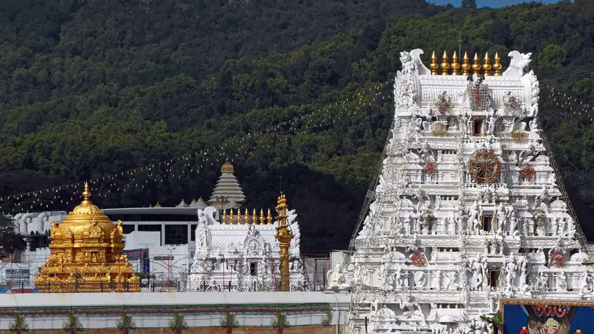 Tirumala: తిరుమలలో కొనసాగుతున్న భక్తుల రద్దీ.. దర్శనానికి ఎంత సమయం అంటే..?