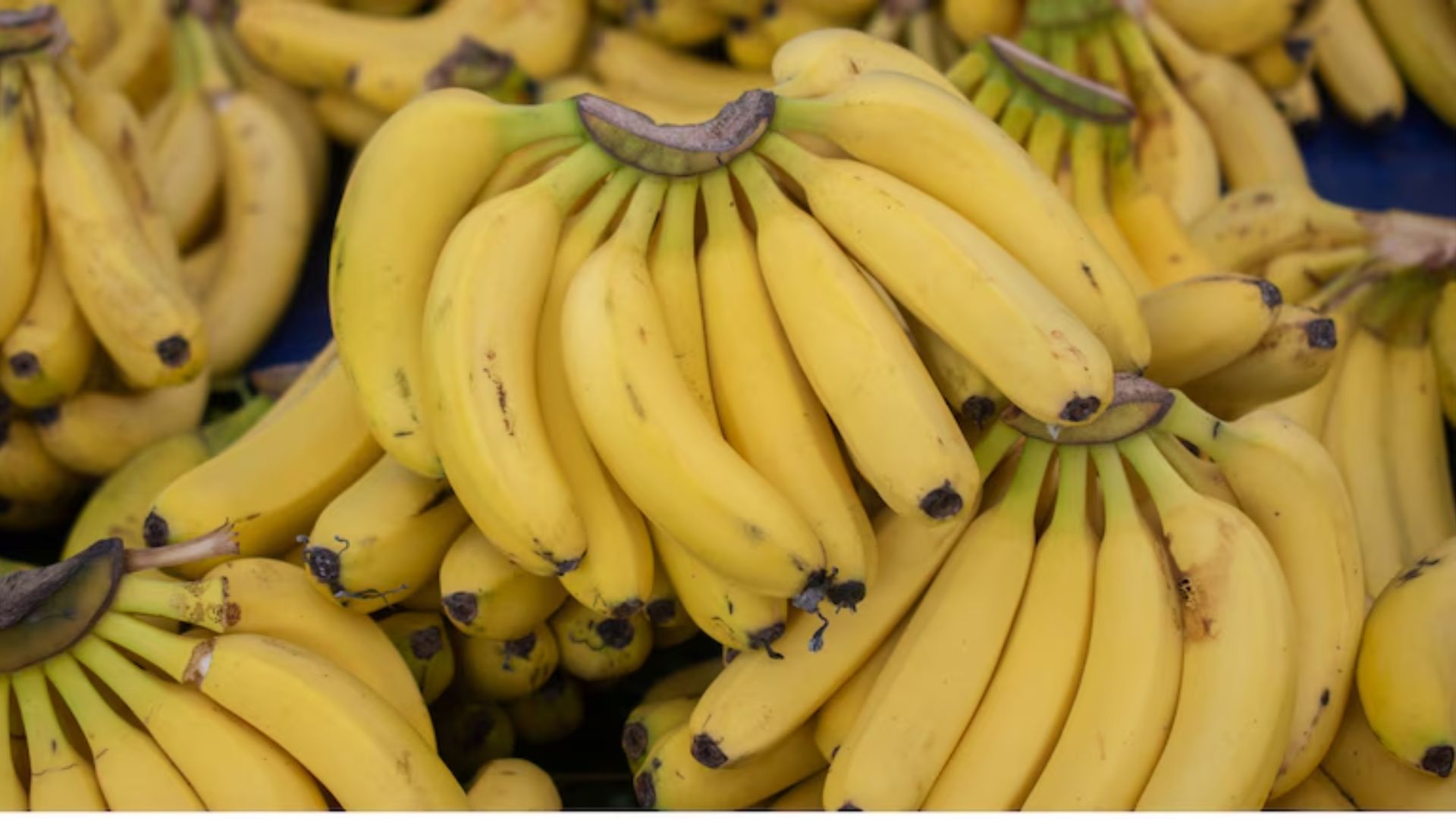 అరటిపండ్లలో పొటాషియం అధికంగా ఉంటుంది. 