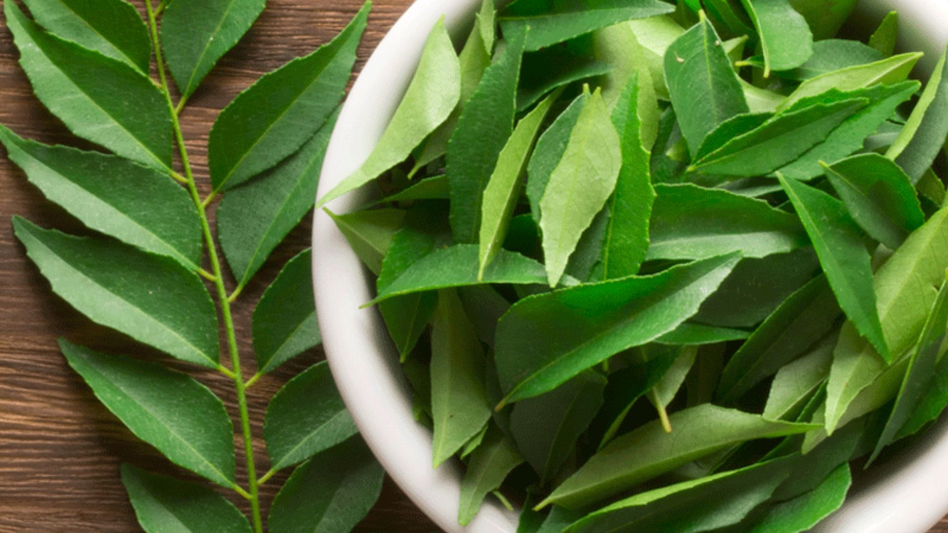 Curry Leaves Benefits: ఓరి నాయనో కరివేపాకు తింటే ఇన్ని హెల్త్ బెనిఫిట్స్‌ హా?