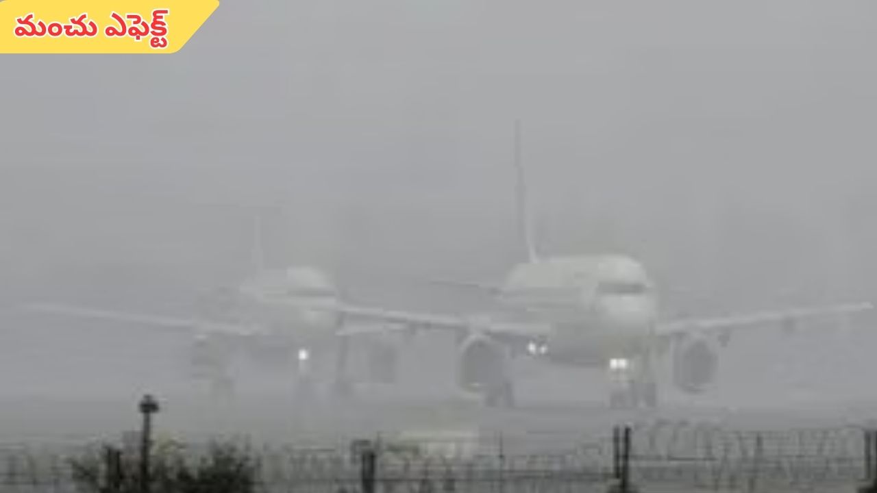 Flights Cancelled: పొగమంచు ఎఫెక్ట్.. 228 విమానాలు రద్దు.. 800 ఫ్లైట్స్ ఆలస్యం