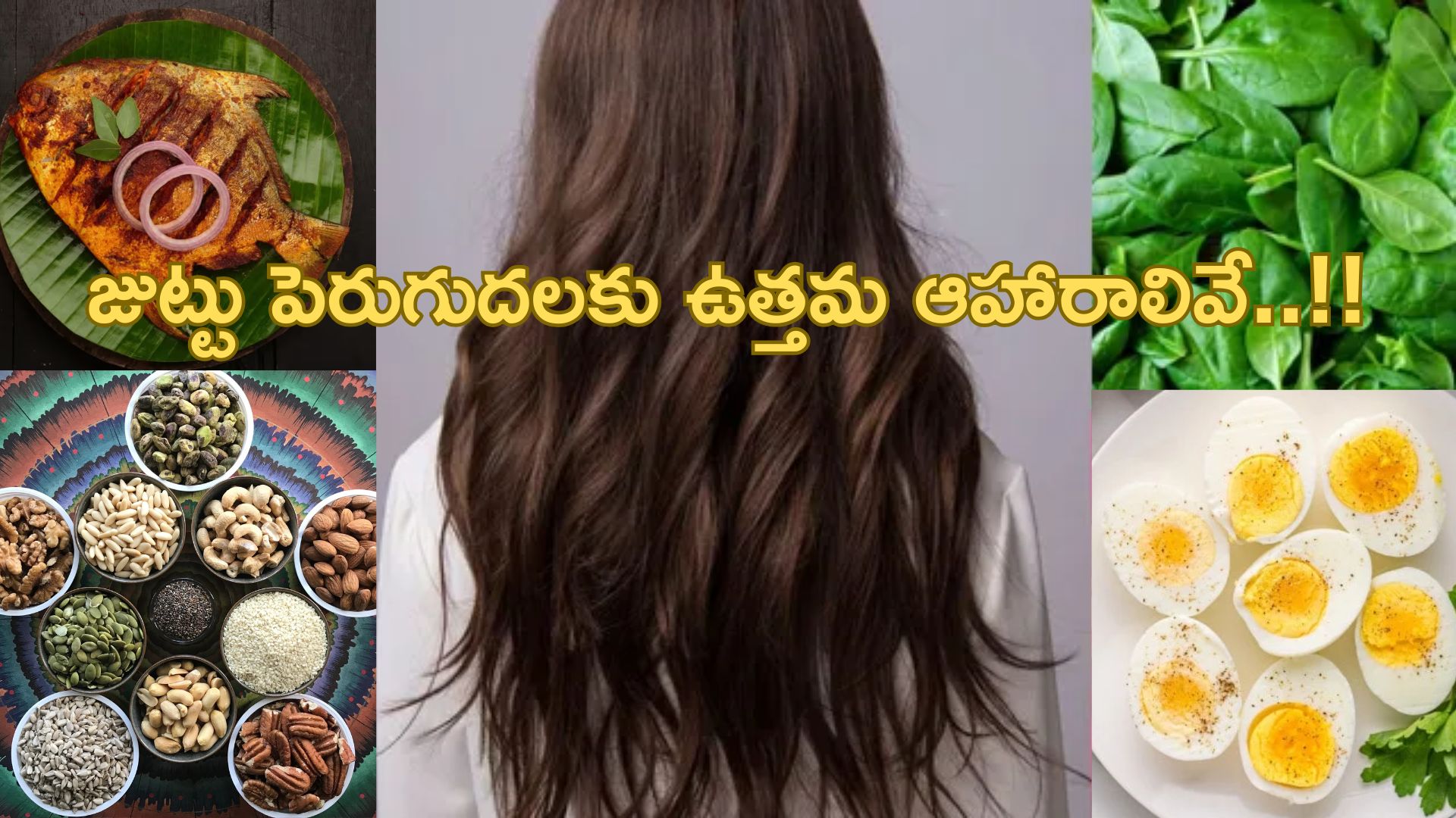 Hair Growth: జుట్టు పెరుగుదలకు ఈ ఆహారాలను మీ డైట్‌లో చేర్చుకోండి..!!
