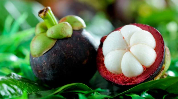 Mangosteen benefits: మాంగోస్టీన్ పండుతో లాభాలు!