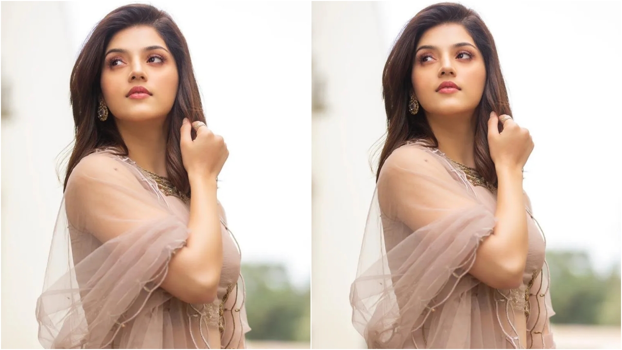 Mehreen Pirzada : ‘గో టు హెల్’.. ఇండిగో సంస్థపై హీరోయిన్ మెహ్రీన్ ఫైర్