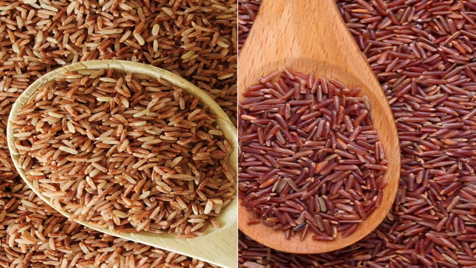 Brown Rice Vs Red Rice: బ్రౌన్ రైస్ vs రెడ్ రైస్‌.. ఎందులో పోష‌కాలు ఎక్కువ‌..?