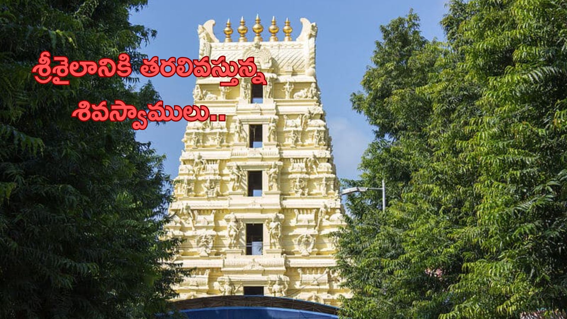 Srisailam: శ్రీశైలానికి తరలివస్తున్న శివస్వాములు.. స్పర్శదర్శనంపై కీలక నిర్ణయం