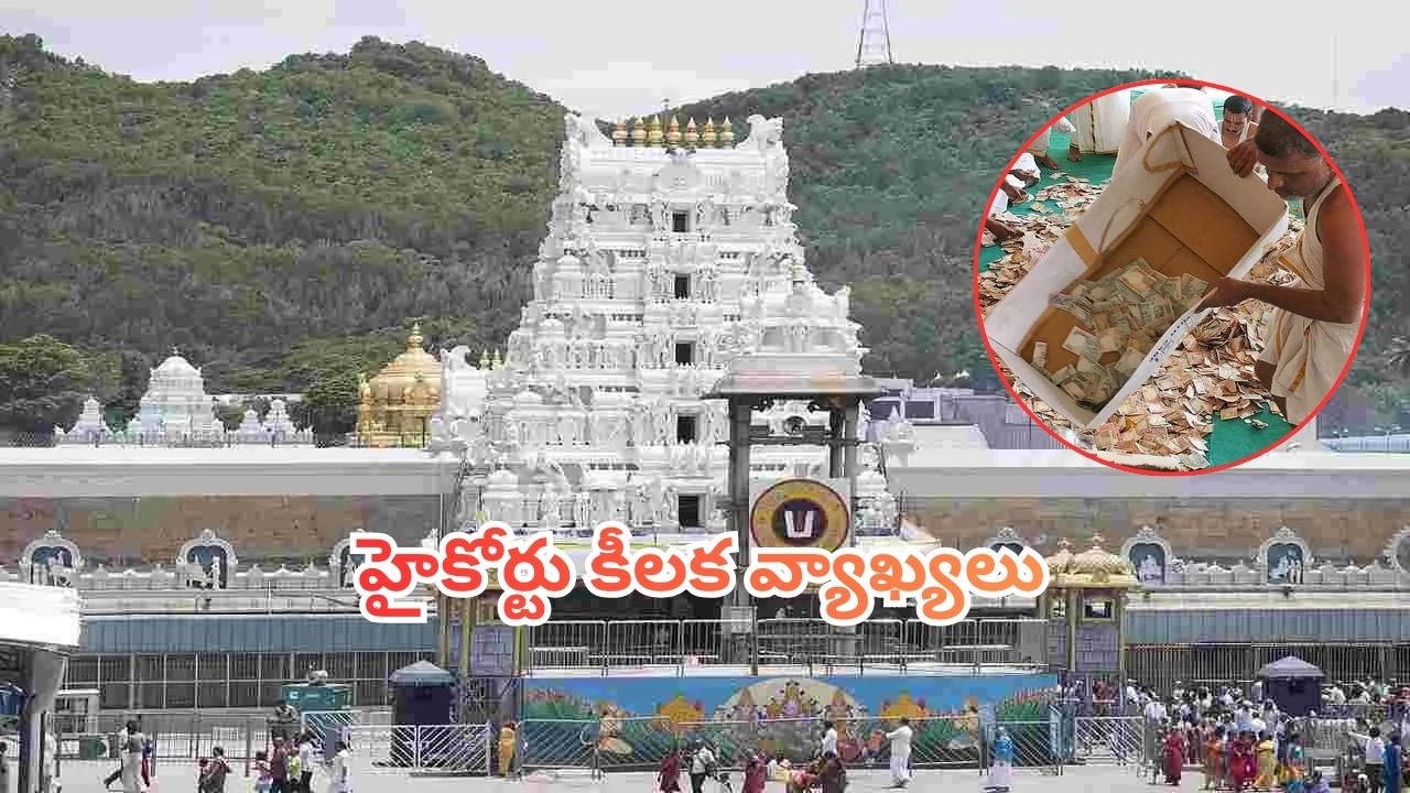 TTD Parakamani Case: టీటీడీ పరకామణి చోరీ కేసులో ఏపీ హైకోర్టు కీలక వ్యాఖ్యలు