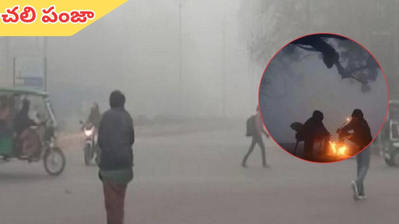 Telugu States: తెలుగు రాష్ట్రాలపై చలి పంజా.. పలు జిల్లాలకు ఎల్లో అలర్ట్